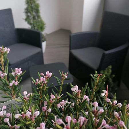 Szczecin Hanza Tower Apartment-Basen ภายนอก รูปภาพ