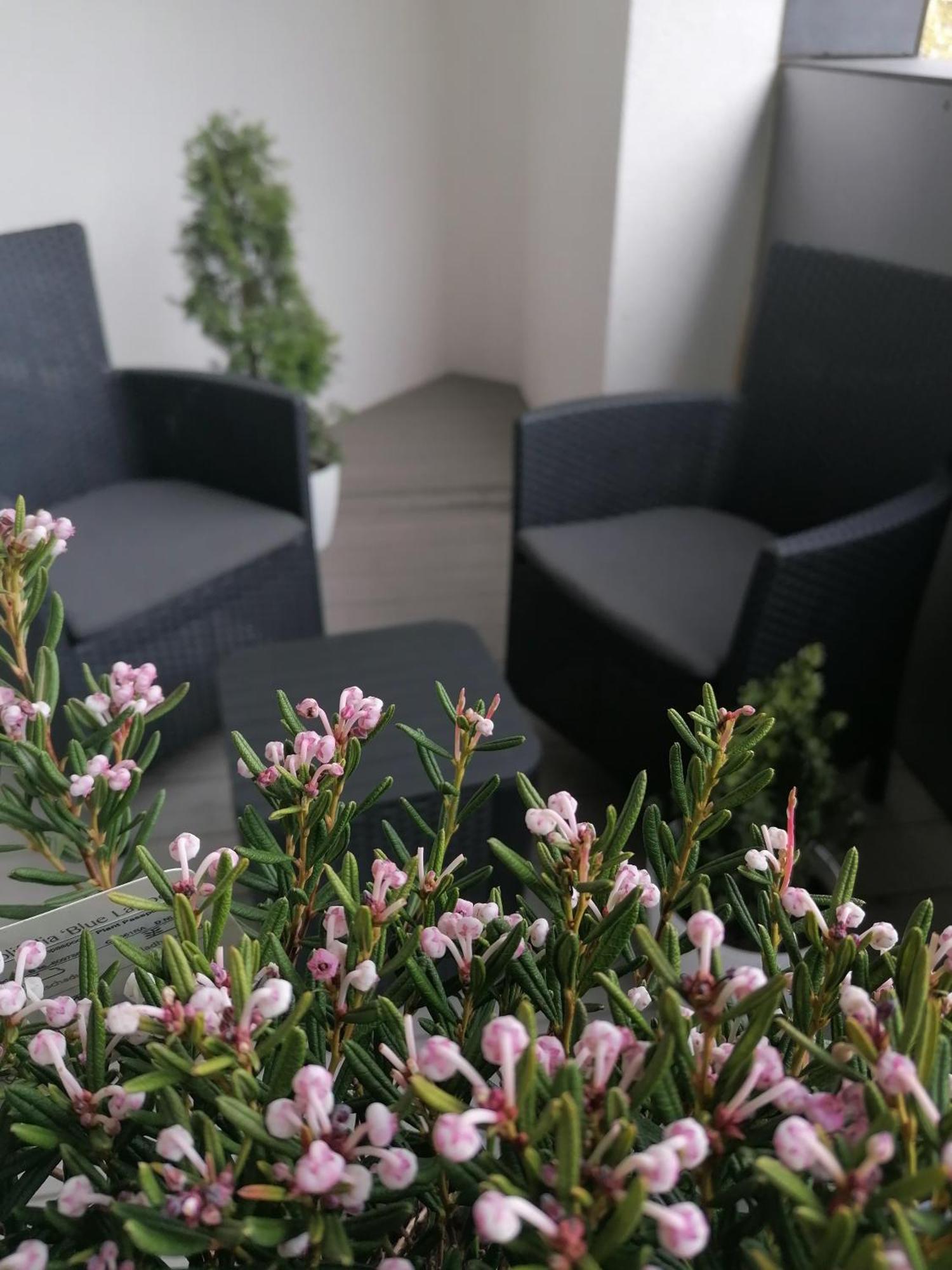 Szczecin Hanza Tower Apartment-Basen ภายนอก รูปภาพ